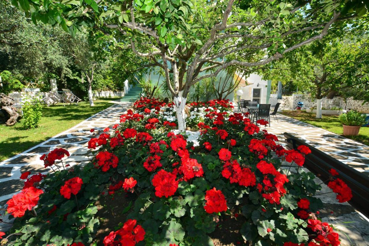 Villa Emilia ปาคิส ภายนอก รูปภาพ